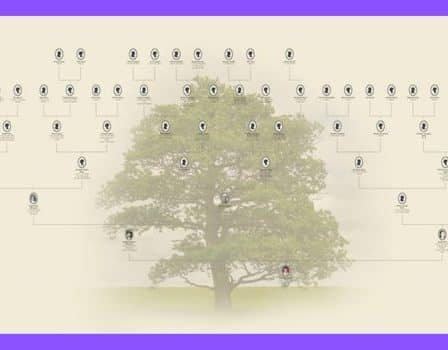 App para hacer el árbol genealógico