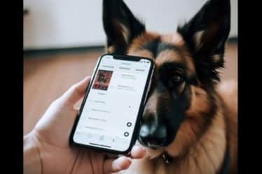 Las 3 mejores apps de salud para mascotas