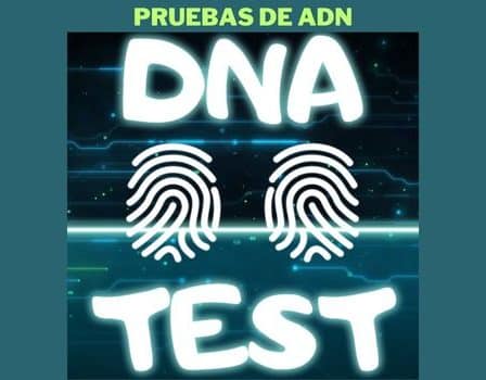 Simular la prueba de ADN de paternidad en tu celular