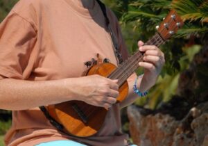 Aprende a tocar el ukelele en 30 días: una guía paso a paso para principiantes